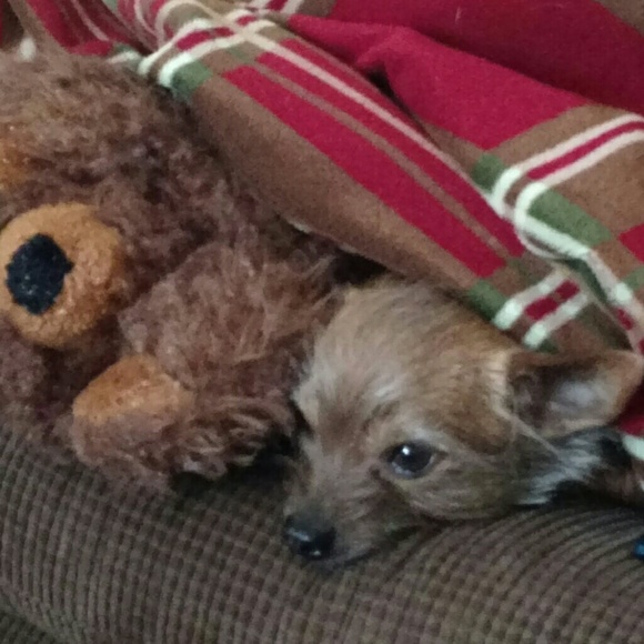 Meet your Posher, Lisa - Picture 2 of 11